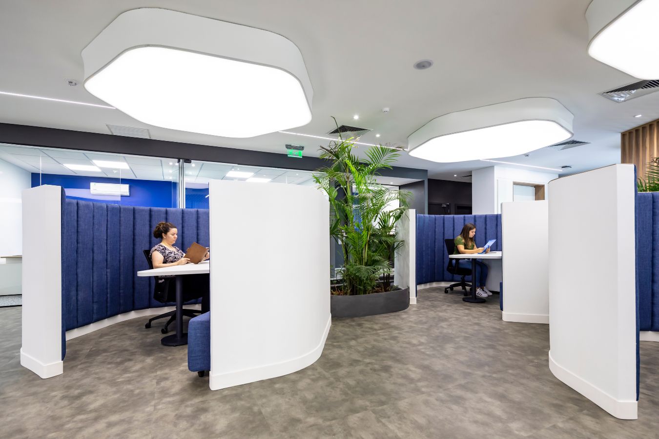 Aseguradora Yacyreta - Individual focus work areas separated by acoustic privacy screens - Contract Workplaces.jpg